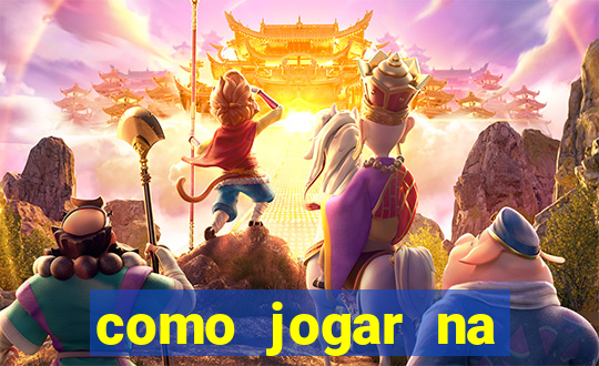 como jogar na lotinha do jogo do bicho